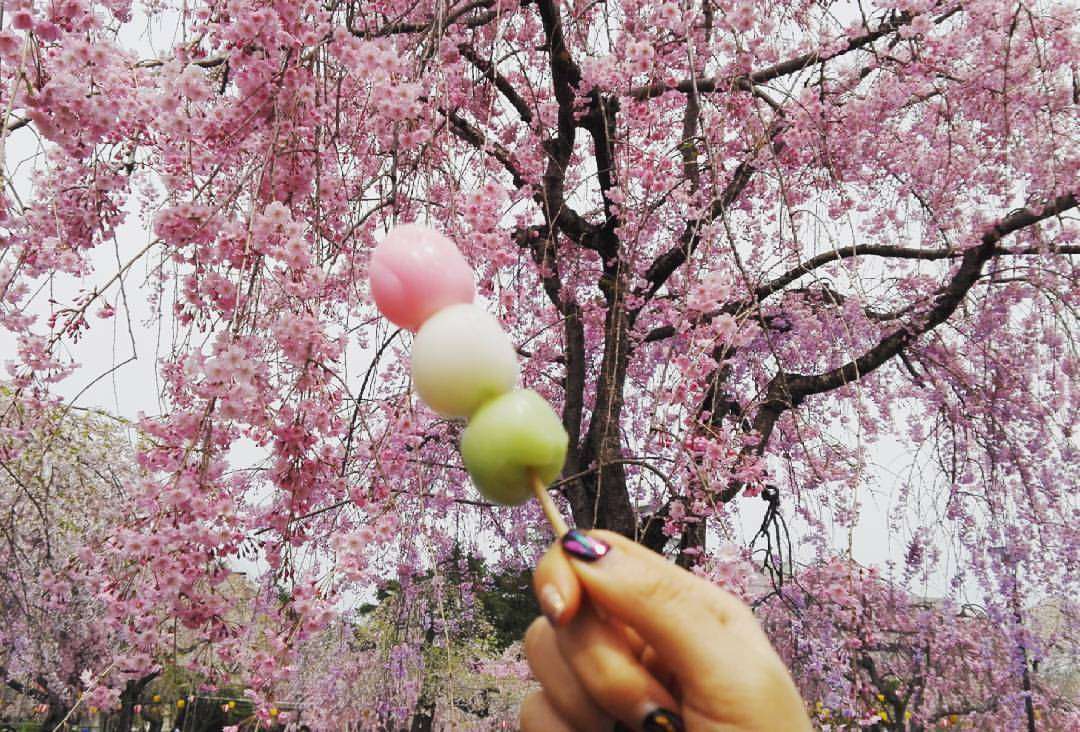 Cherry blossom Sendai World by Isa